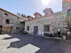Charmant gîte historique avec pêche privée et forêt, près de Brioude et Blesle - FR-1-582-352